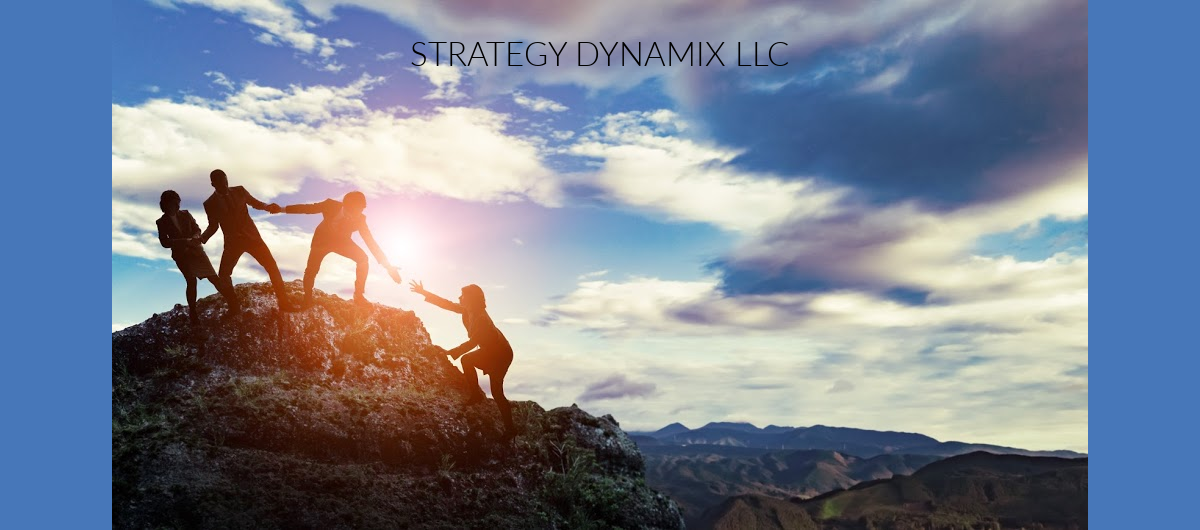 Strategy Dynamix LLC Success Stories